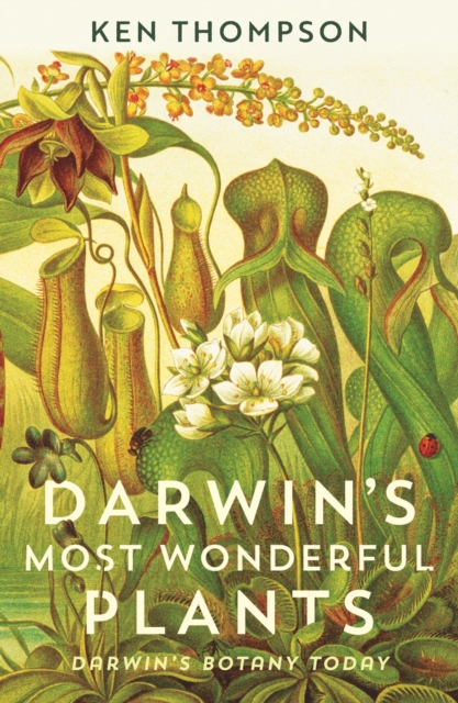 Darwin's Most Wonderful Plants : Darwin's Botany Today, Paperback / softback Book