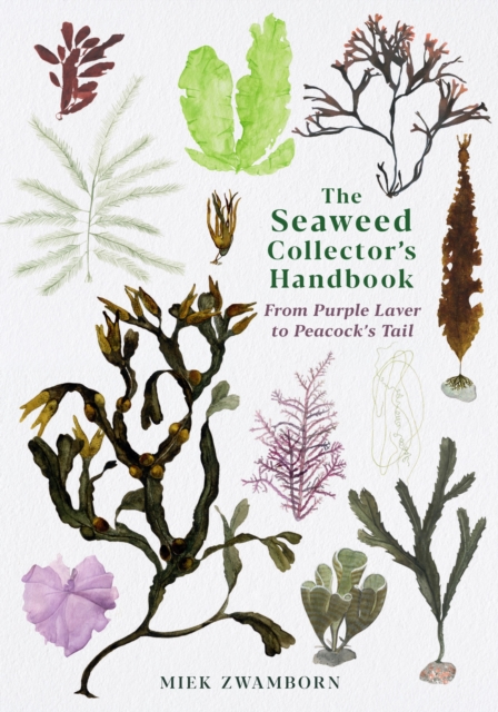 The Seaweed Collector's Handbook : From Purple Laver to Peacock’s Tail, Paperback / softback Book