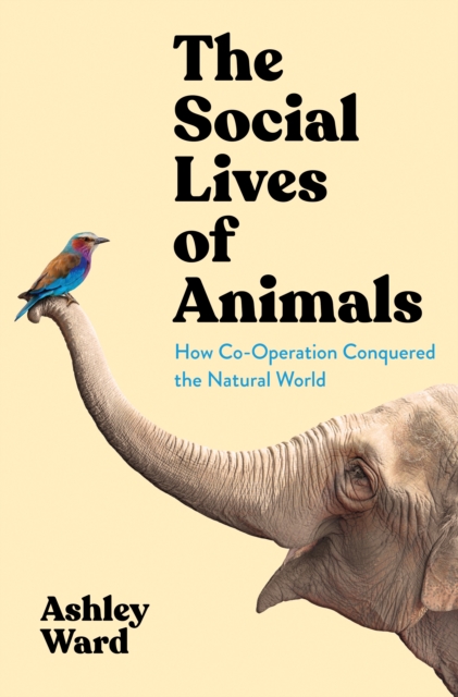 The Social Lives of Animals : How Co-operation Conquered the Natural World, Hardback Book