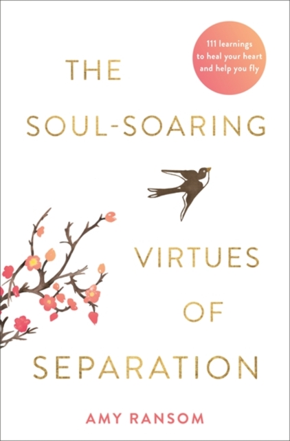 The Soul-Soaring Virtues of Separation : 111 Learnings to Heal Your Heart and Help You Fly, Paperback / softback Book