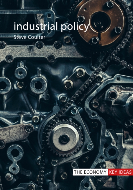 Industrial Policy, EPUB eBook