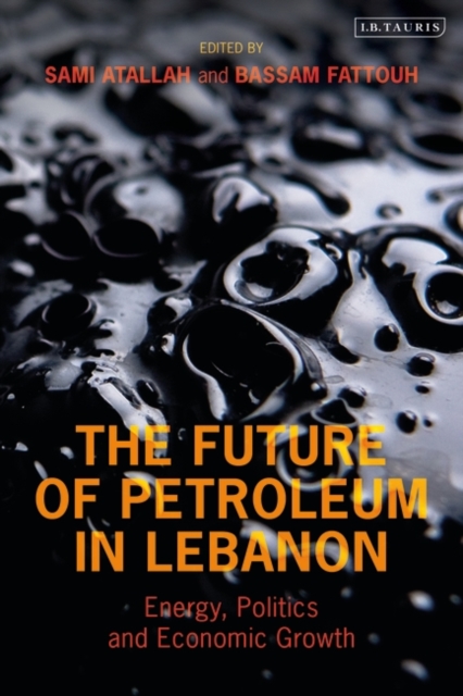 The Future of Petroleum in Lebanon : Energy, Politics and Economic Growth, PDF eBook