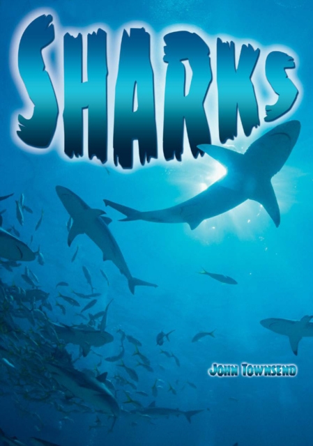 Sharks, PDF eBook