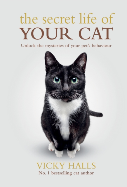 The Secret Life Of Your Cat, Paperback / softback Book