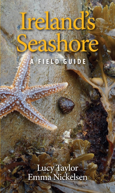 Ireland's Seashore, EPUB eBook