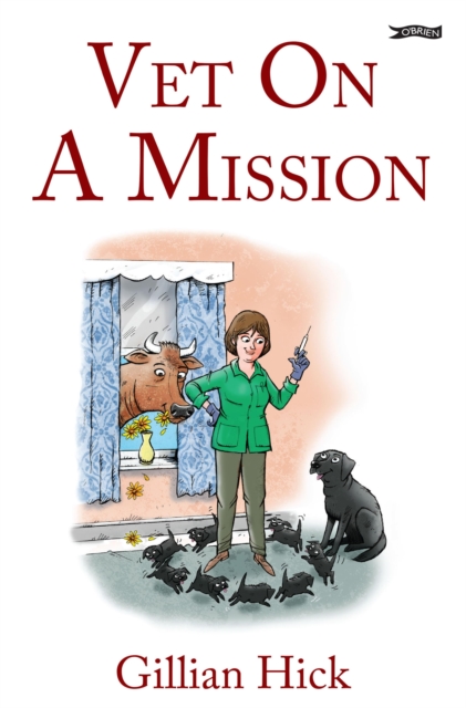 Vet On A Mission, EPUB eBook