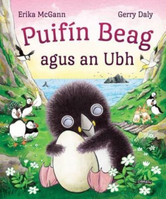 Puifin Beag agus an Ubh, Paperback / softback Book