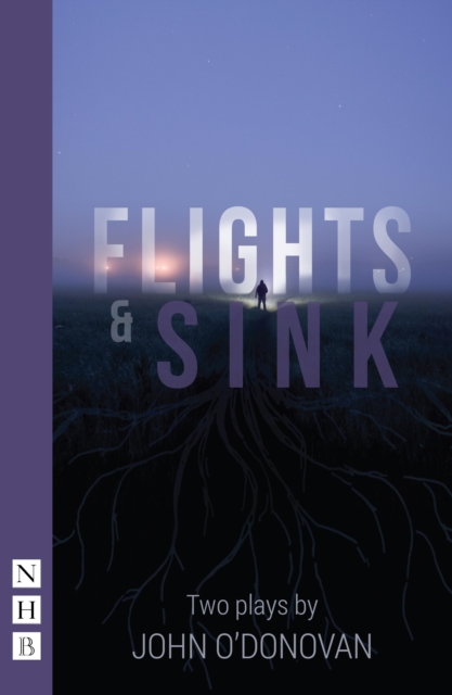 Flights & Sink: Two Plays (NHB Modern Plays), EPUB eBook