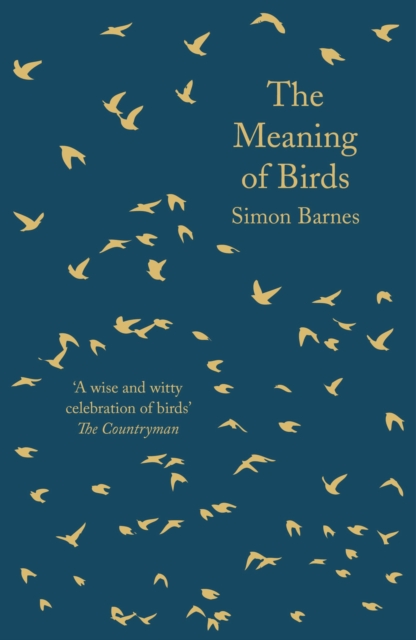 The Meaning of Birds, Paperback / softback Book