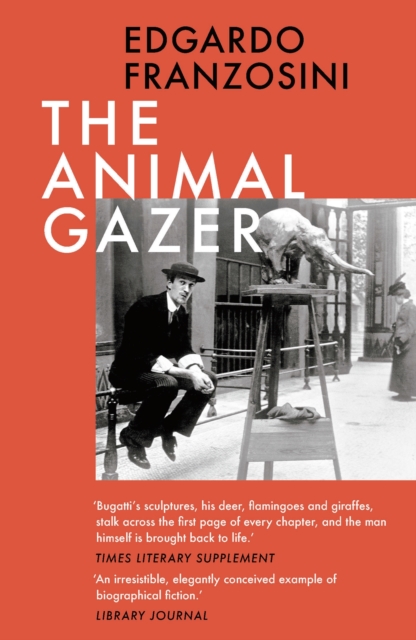 The Animal Gazer, EPUB eBook