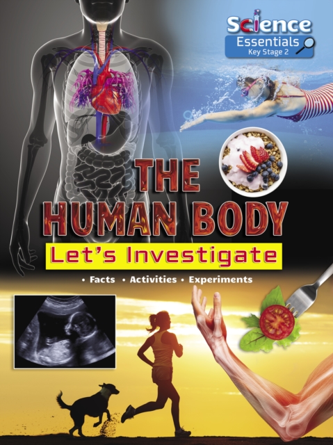 The Human Body: Let's Investigate, Paperback / softback Book