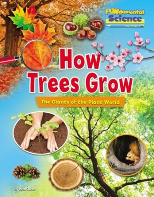 How Trees Grow : The Giants of the Plant World, Paperback / softback Book