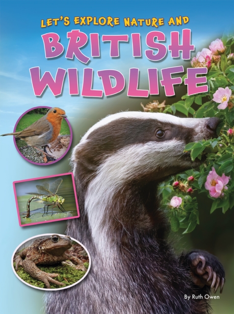 Let's Explore Nature and British Wildlife, Paperback / softback Book
