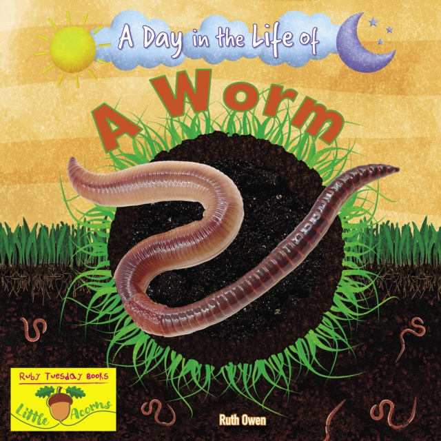 A Worm, Paperback / softback Book