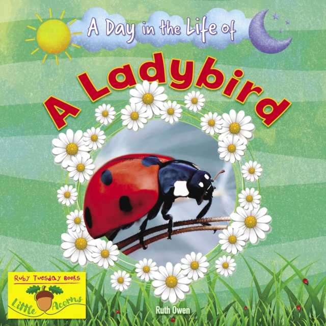 A Ladybird, Paperback / softback Book