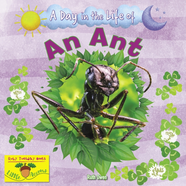 An Ant, Paperback / softback Book