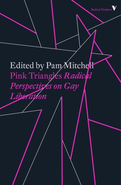 Pink Triangles : Radical Perspectives on Gay Liberation, Paperback / softback Book