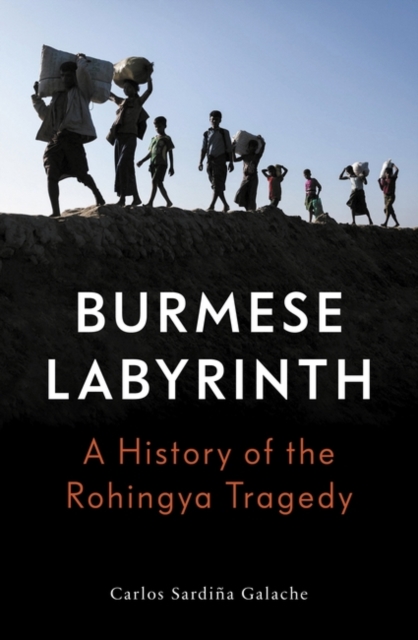 The Burmese Labyrinth, Hardback Book
