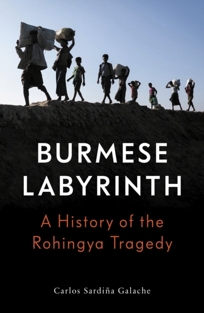 The Burmese Labyrinth, Paperback / softback Book