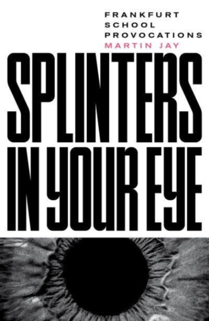 Splinters in Your Eye : Frankfurt School Provocations, Hardback Book