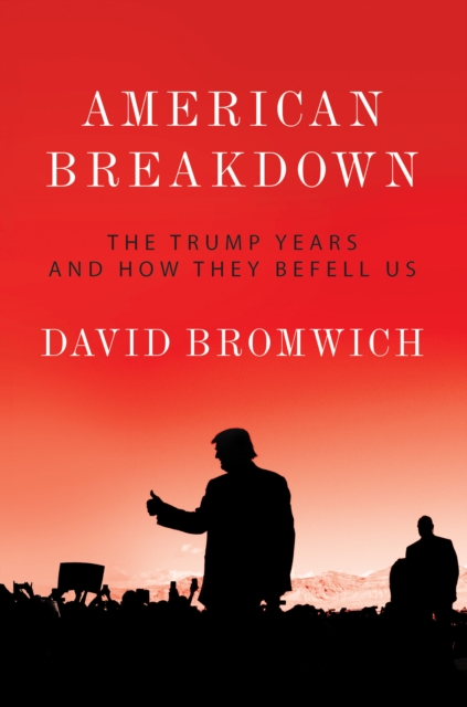 American Breakdown, EPUB eBook