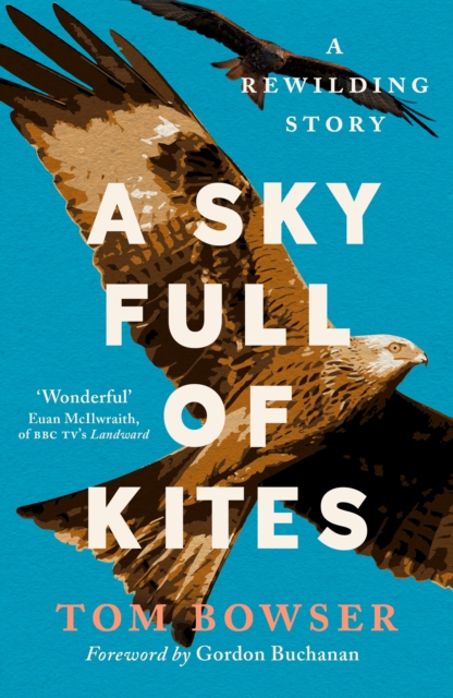 A Sky Full of Kites, EPUB eBook