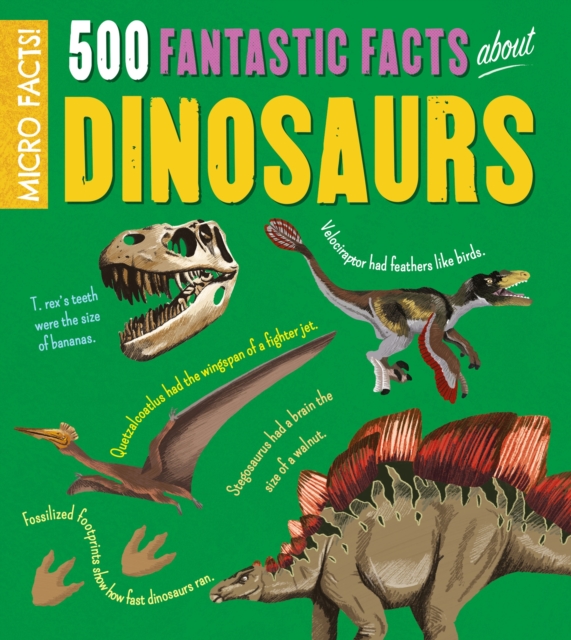 Micro Facts!: 500 Fantastic Facts About Dinosaurs, Paperback / softback Book