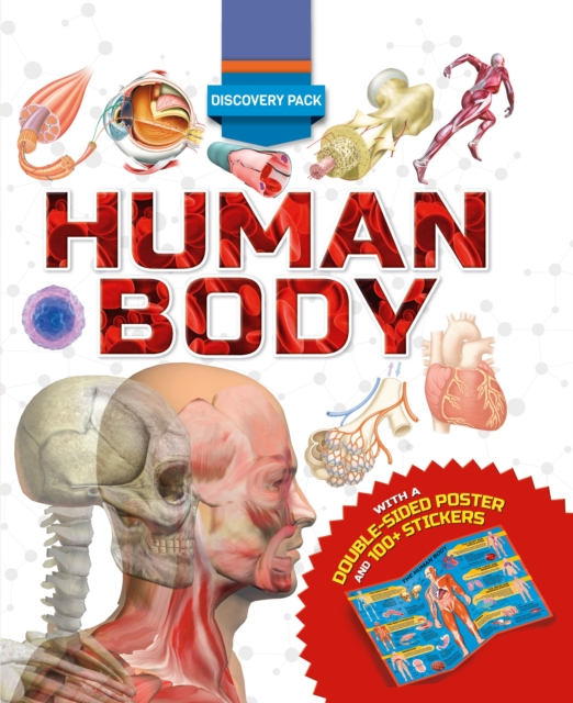 Discovery Pack: Human Body, Hardback Book