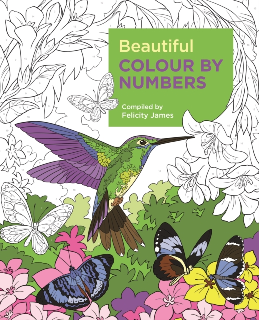 Beautiful Colour by Numbers, Paperback / softback Book