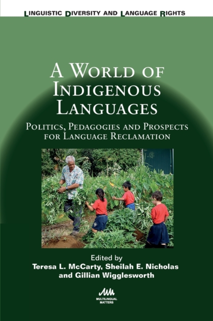A World of Indigenous Languages : Politics, Pedagogies and Prospects for Language Reclamation, Paperback / softback Book
