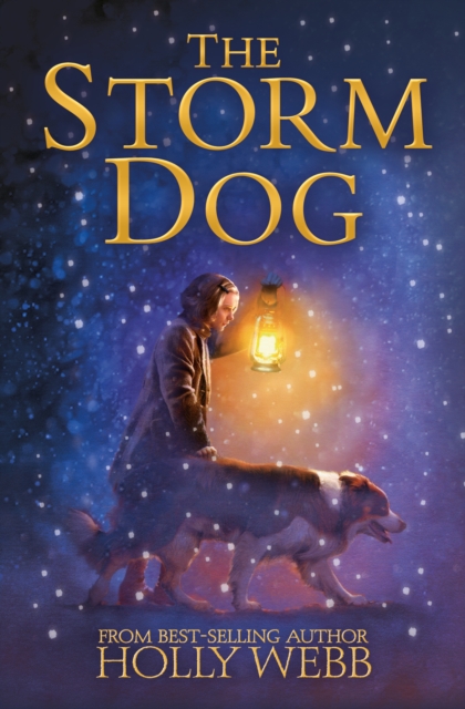 The Storm Dog, Paperback / softback Book