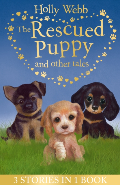 The Rescued Puppy and Other Tales : The Rescued Puppy, The Lost Puppy, The Secret Puppy, Paperback / softback Book