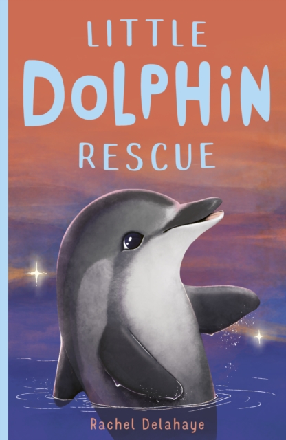 Little Dolphin Rescue, Paperback / softback Book