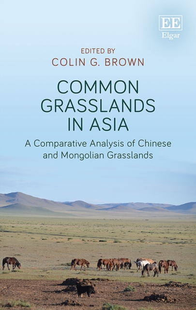 Common Grasslands in Asia : A Comparative Analysis of Chinese and Mongolian Grasslands, PDF eBook