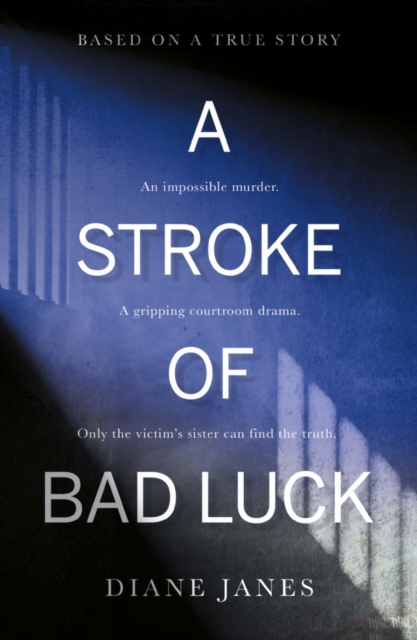 A Stroke of Bad Luck, Paperback / softback Book