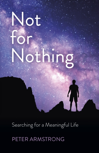 Not for Nothing : Searching for a Meaningful Life, Paperback / softback Book