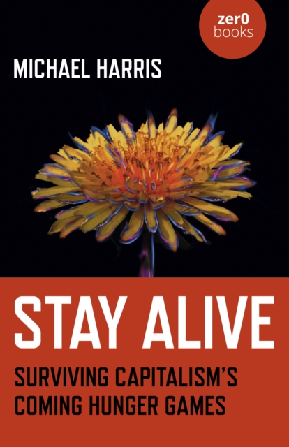 Stay Alive : Surviving Capitalism’s Coming Hunger Games, Paperback / softback Book