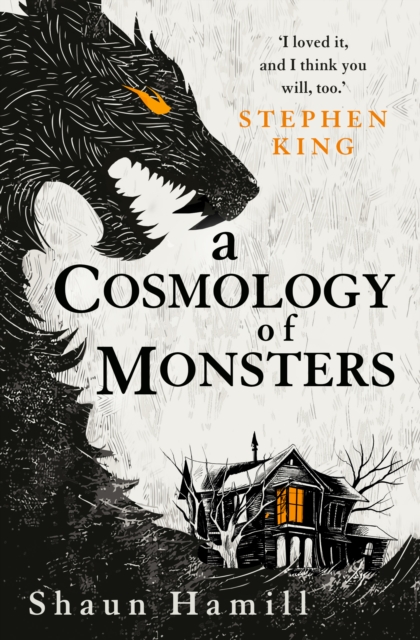 A Cosmology of Monsters, Paperback / softback Book