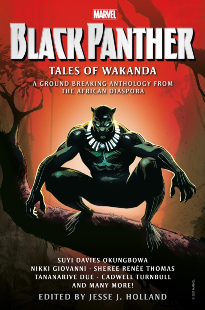 Black Panther: Tales of Wakanda, Hardback Book