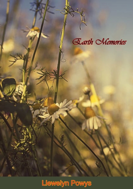 Earth Memories, EPUB eBook