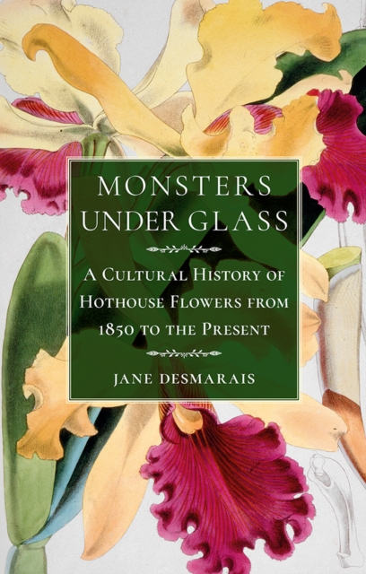 Monsters under Glass : A Cultural History of Hothouse Flowers from 1850 to the Present, EPUB eBook