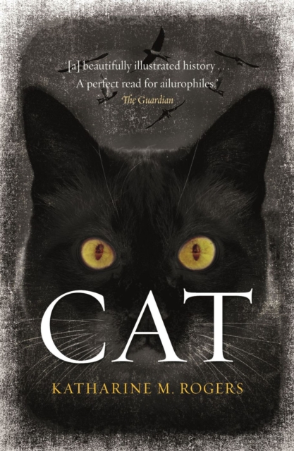 Cat, Paperback / softback Book
