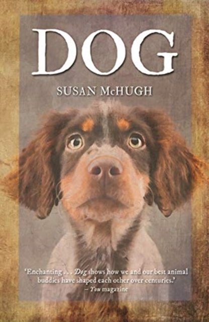 Dog, Paperback / softback Book