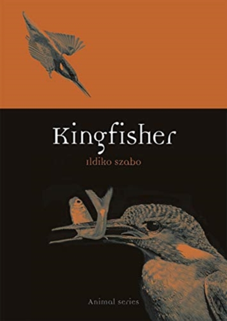 Kingfisher, Paperback / softback Book