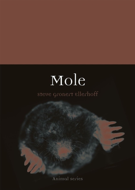 Mole, Paperback / softback Book