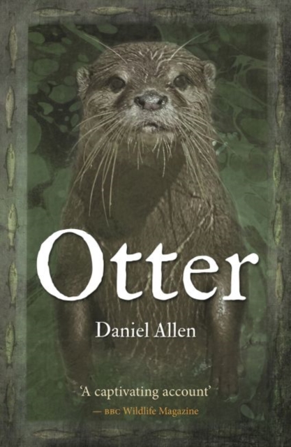 Otter, Paperback / softback Book