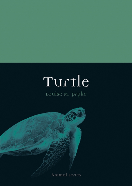 Turtle, EPUB eBook