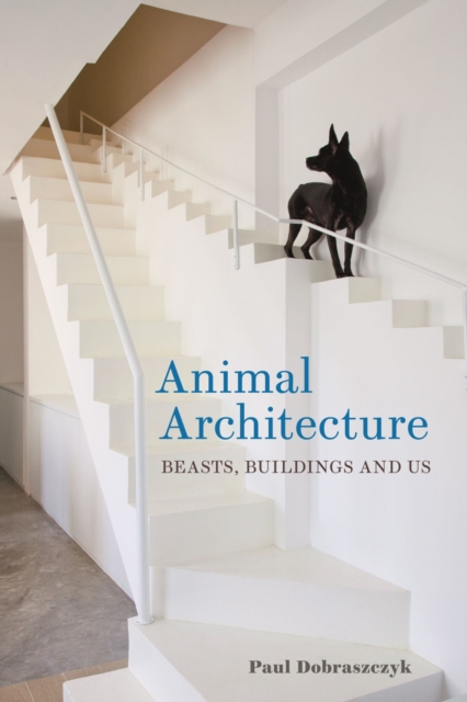Animal Architecture : Beasts, Buildings and Us, Hardback Book