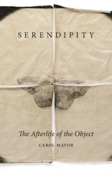 Serendipity : The Afterlife of the Object, Hardback Book