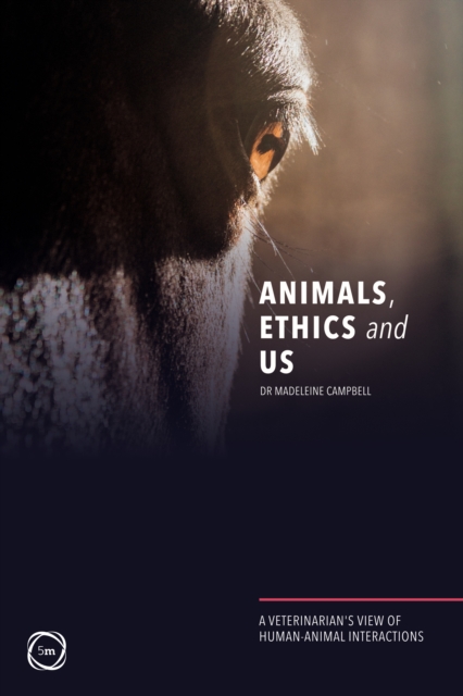 Animals, Ethics and Us: A Veterinary's View of Human-Animal Interactions, Paperback / softback Book